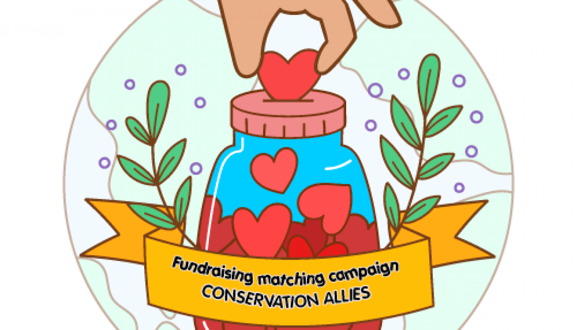 Fundraising matching campaign – CONSERVATION ALLIES